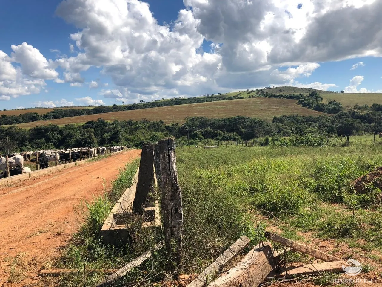 Fazenda à venda de 1.960 ha em Campo Alegre de Goiás, GO, Brasil