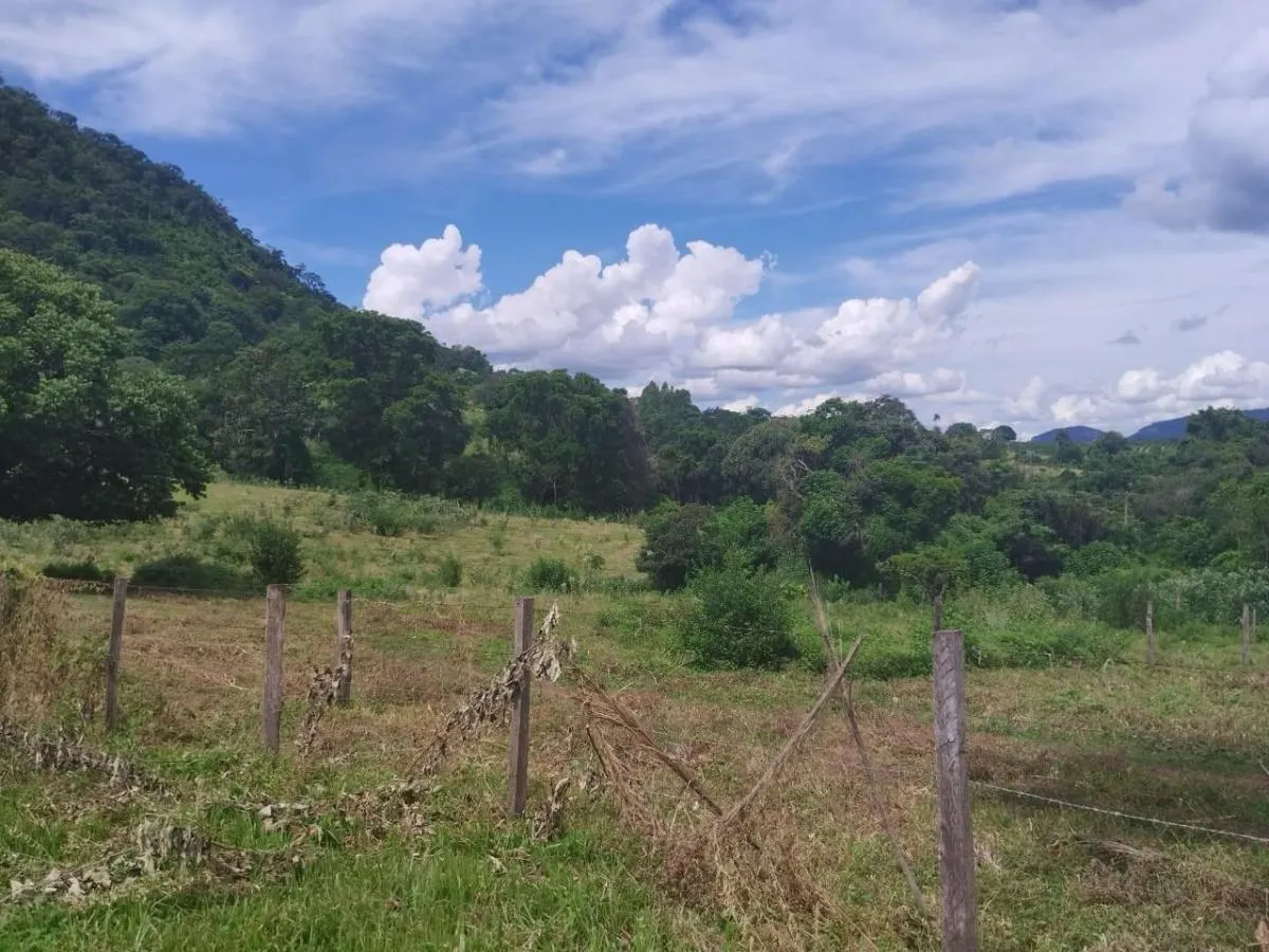 Sítio à venda de 48 ha em Santo Antônio da Alegria, SP, Brasil