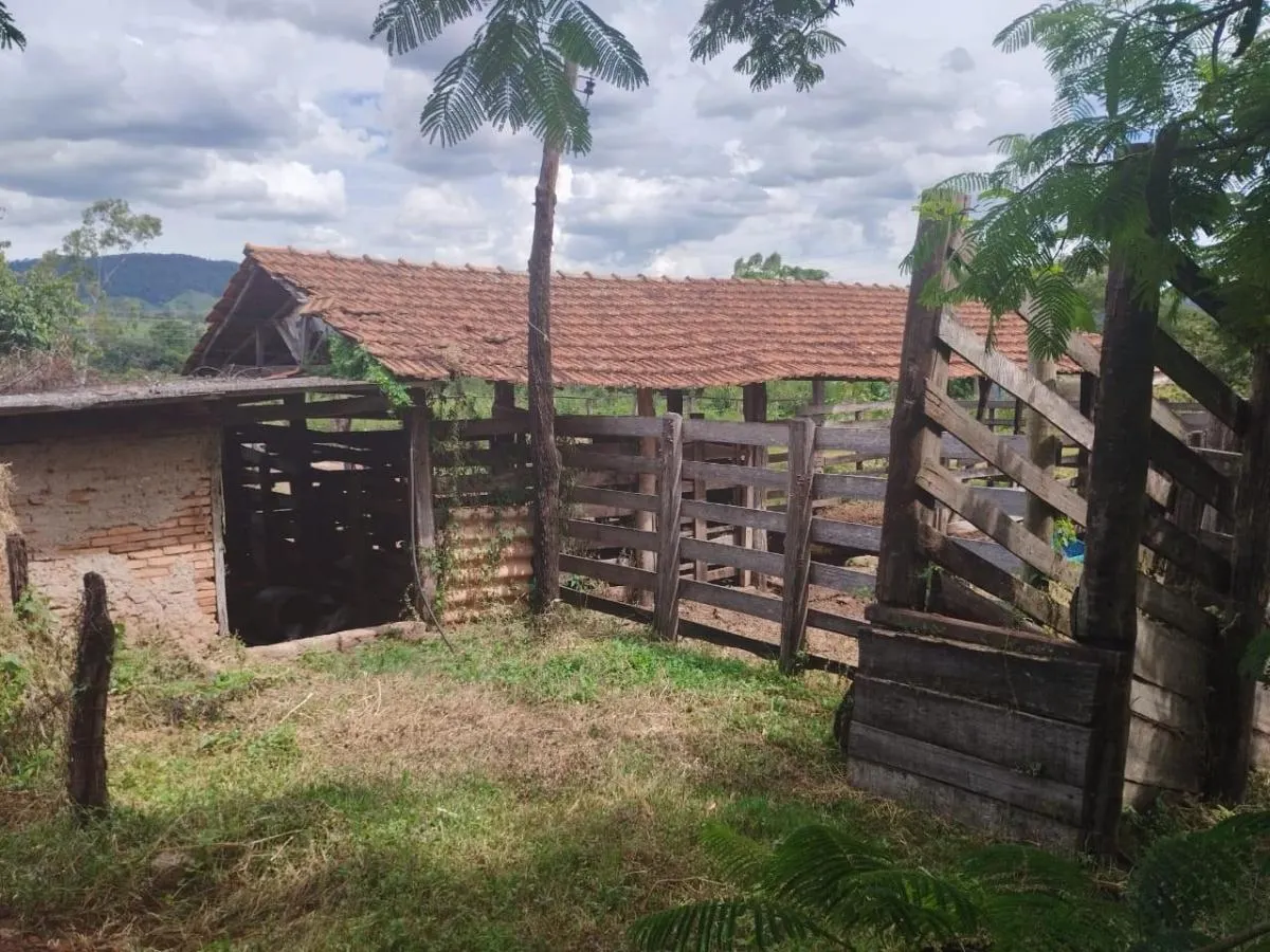 Sítio à venda de 48 ha em Santo Antônio da Alegria, SP, Brasil