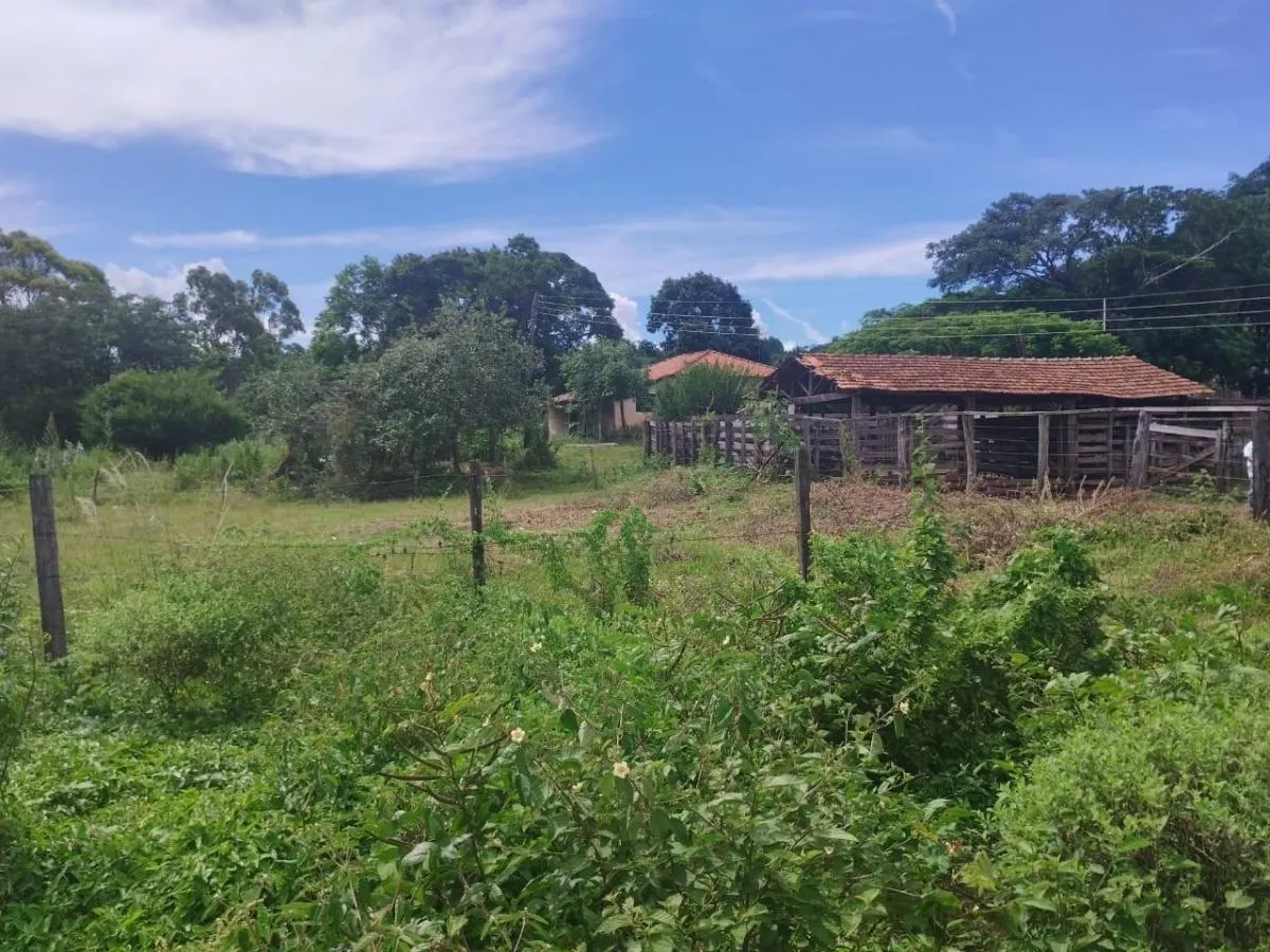 Sítio à venda de 48 ha em Santo Antônio da Alegria, SP, Brasil