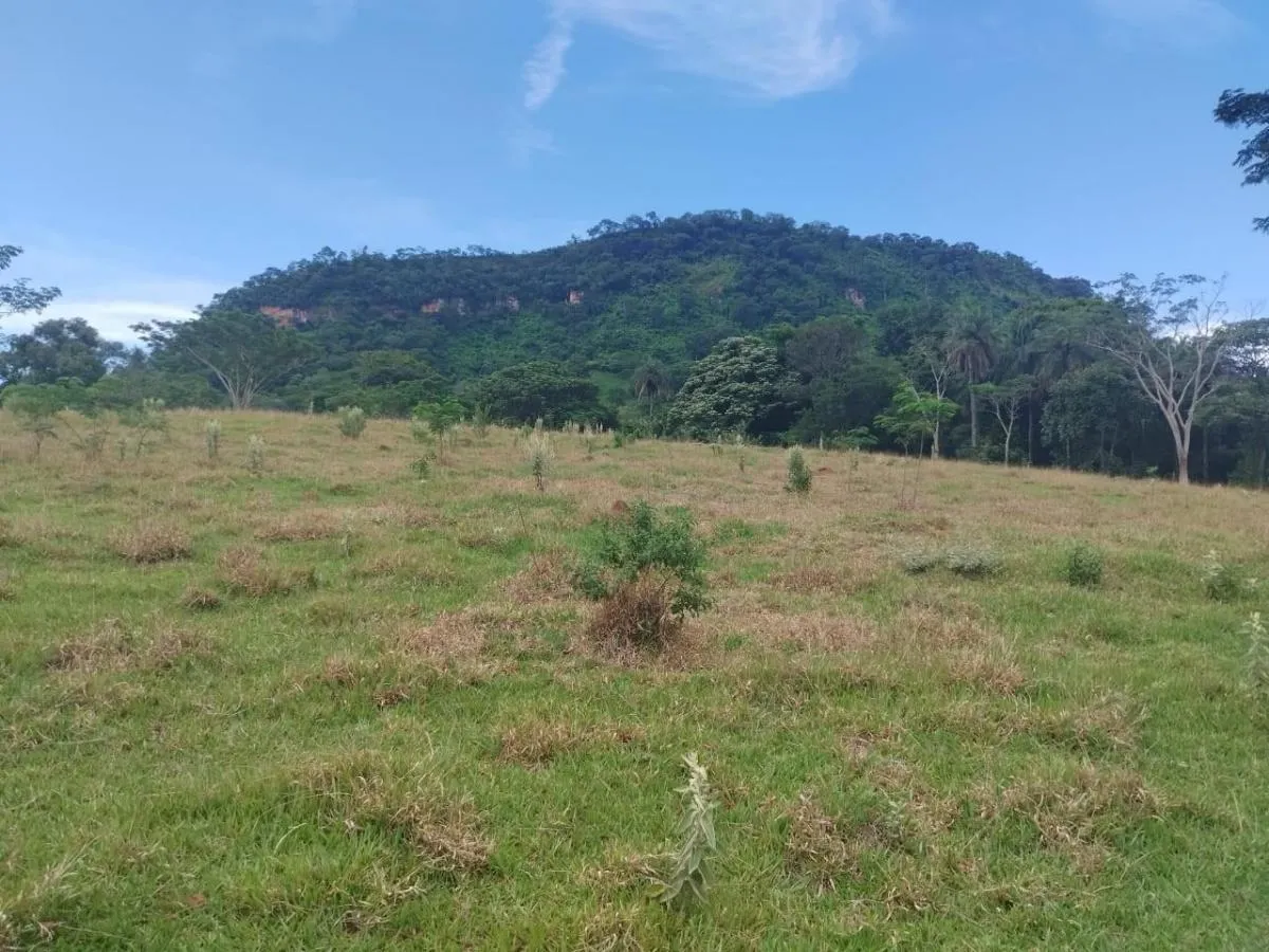 Sítio à venda de 48 ha em Santo Antônio da Alegria, SP, Brasil
