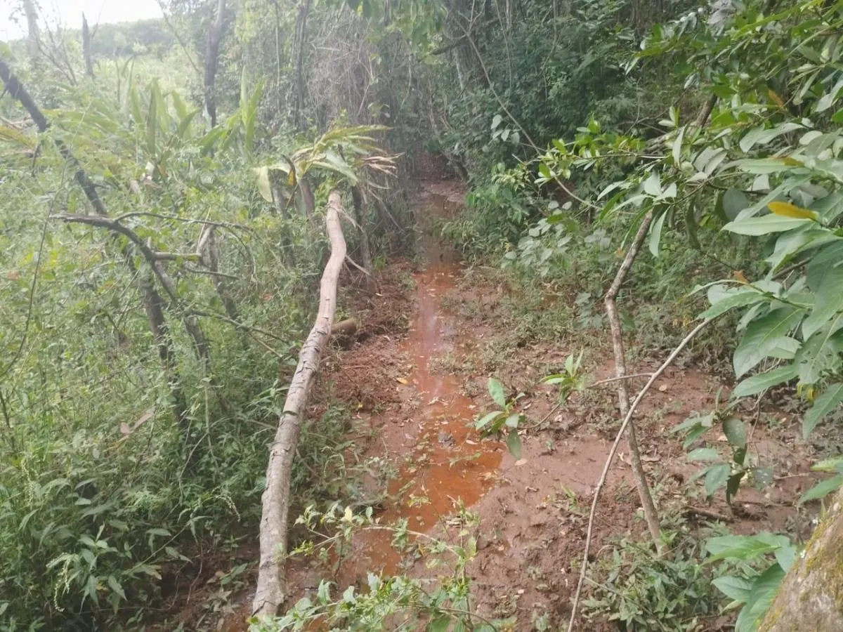 Sítio à venda de 48 ha em Santo Antônio da Alegria, SP, Brasil