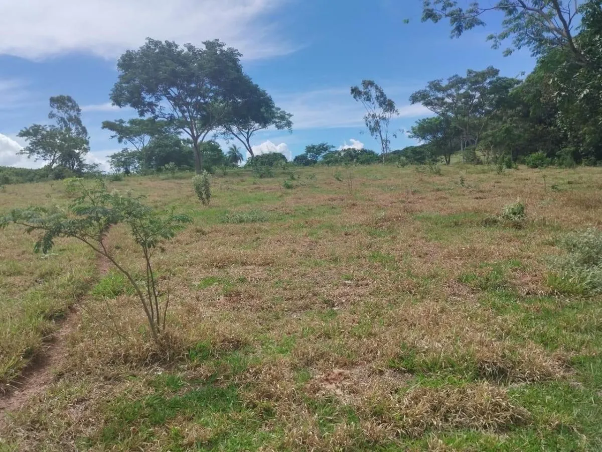 Sítio à venda de 48 ha em Santo Antônio da Alegria, SP, Brasil