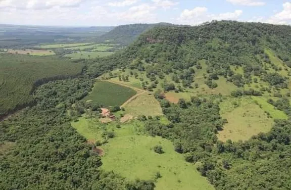 Sítio à venda de 48 ha em Santo Antônio da Alegria, SP, Brasil