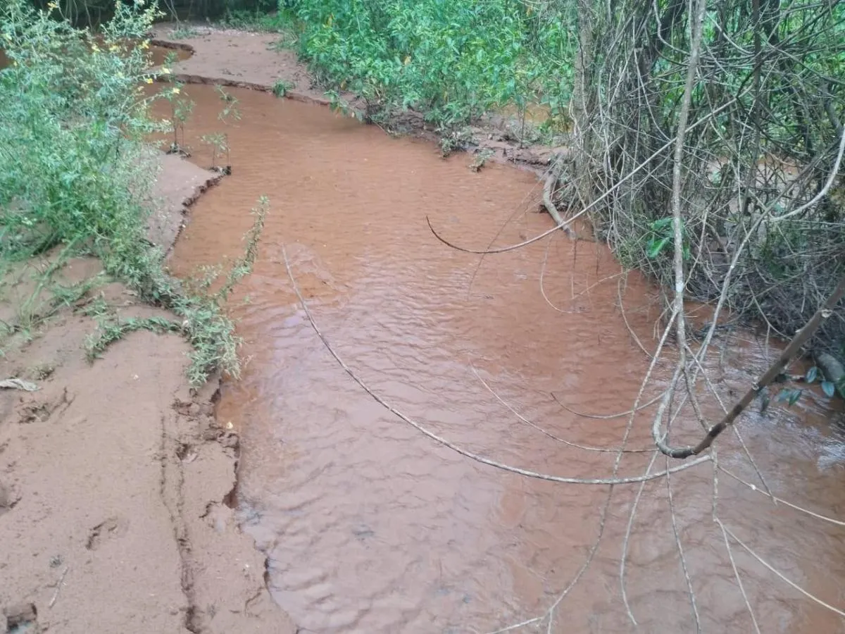 Sítio à venda de 48 ha em Santo Antônio da Alegria, SP, Brasil