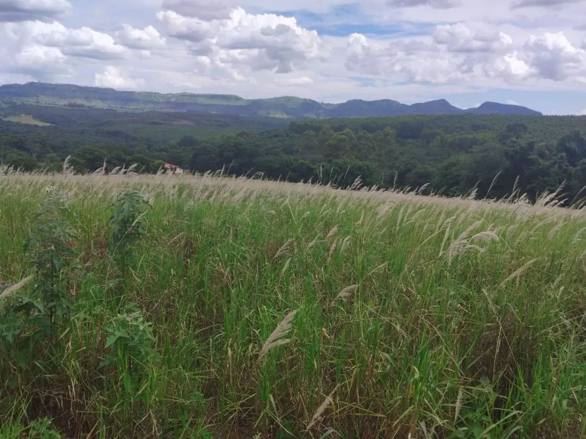 Sítio à venda de 48 ha em Santo Antônio da Alegria, SP, Brasil