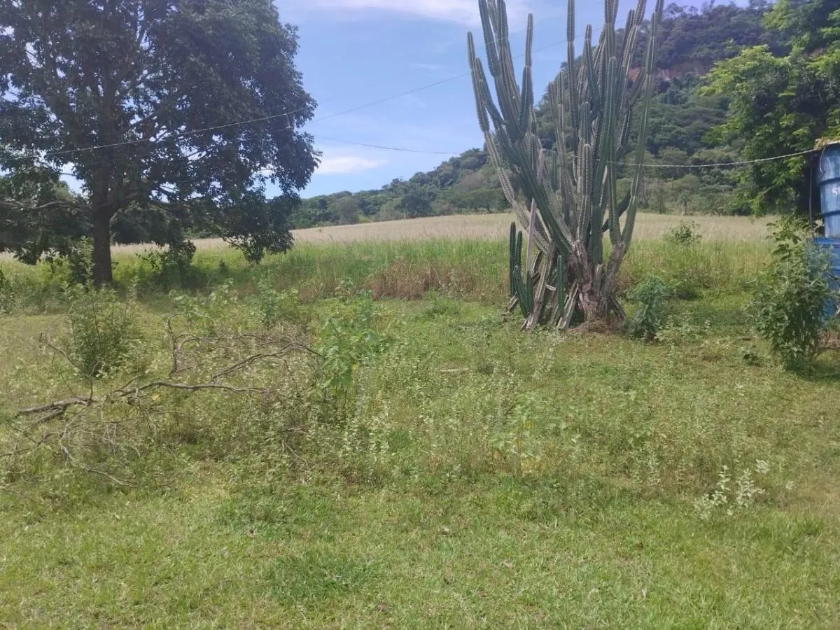 Sítio à venda de 48 ha em Santo Antônio da Alegria, SP, Brasil