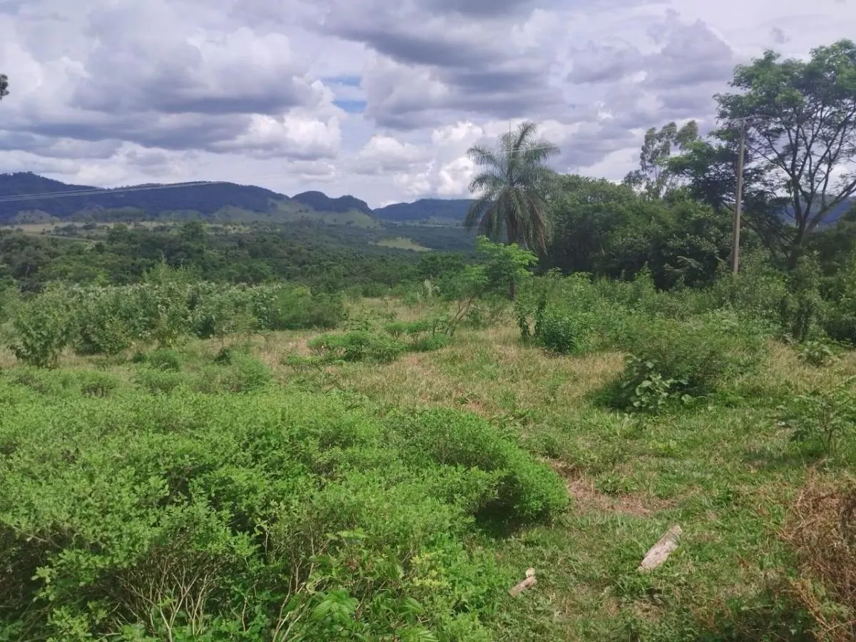 Sítio à venda de 48 ha em Santo Antônio da Alegria, SP, Brasil