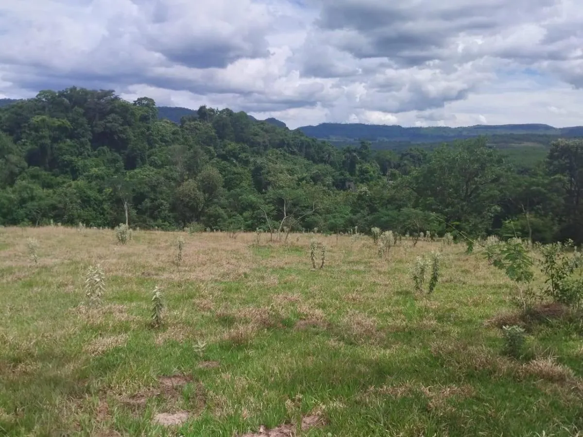 Sítio à venda de 48 ha em Santo Antônio da Alegria, SP, Brasil