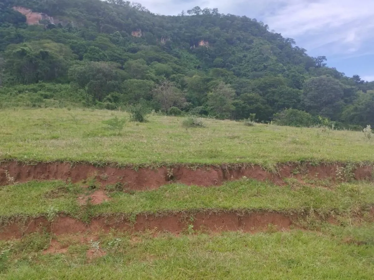 Sítio à venda de 48 ha em Santo Antônio da Alegria, SP, Brasil