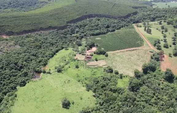 Sítio à venda de 48 ha em Santo Antônio da Alegria, SP, Brasil