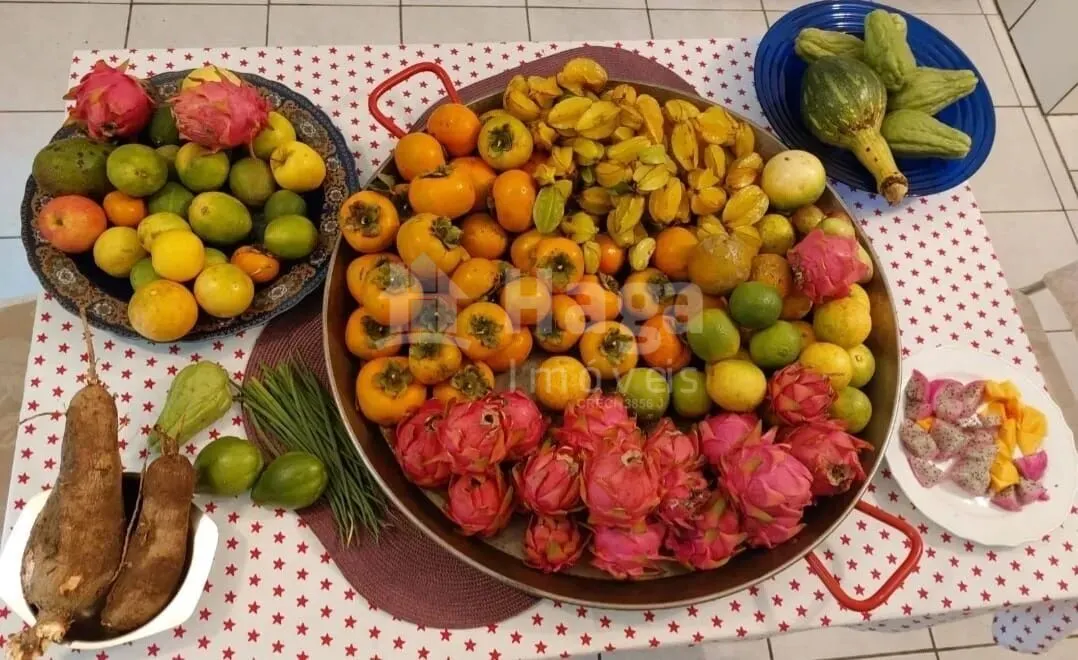 Farm for sale of 7 acres in Vidal Ramos, SC, Brazil