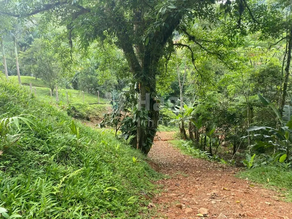 Terreno à venda de 3.800 m² em Canelinha, SC, Brasil