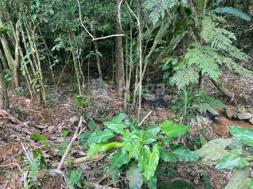 Terreno à venda de 3.800 m² em Canelinha, SC, Brasil