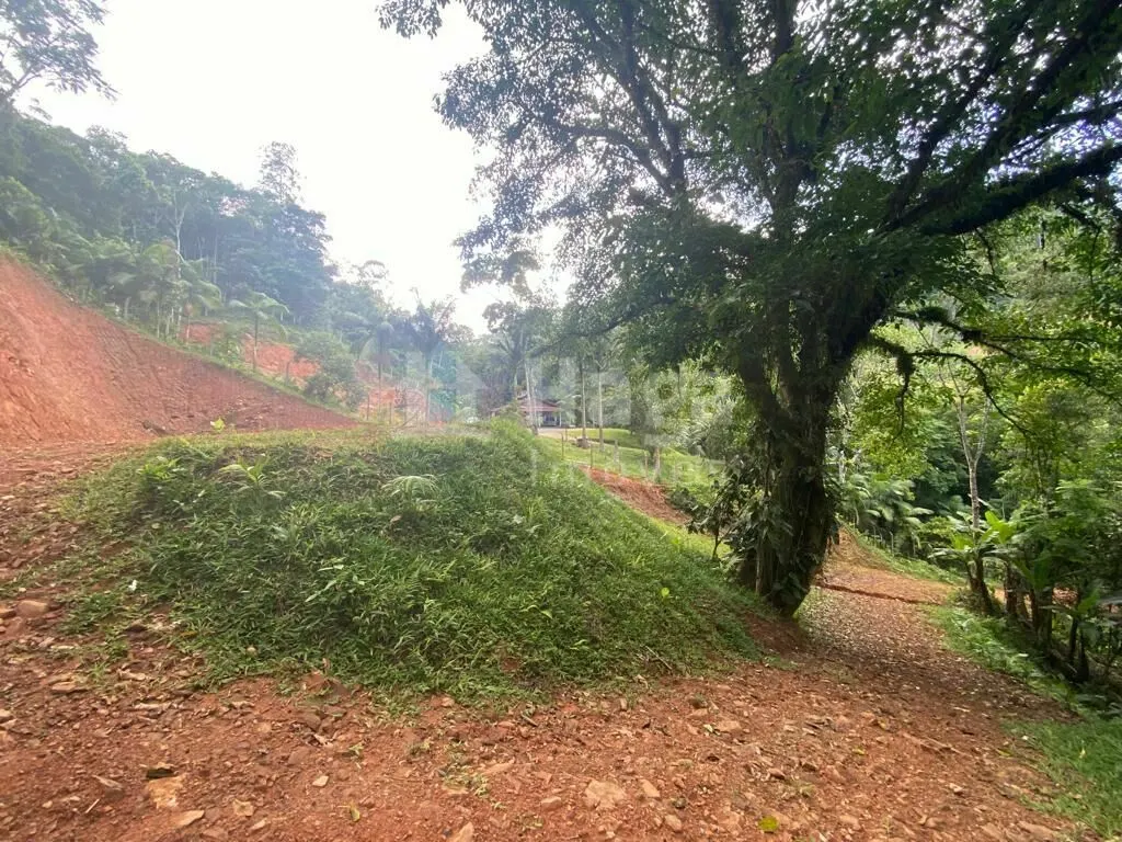 Terreno à venda de 3.800 m² em Canelinha, SC, Brasil