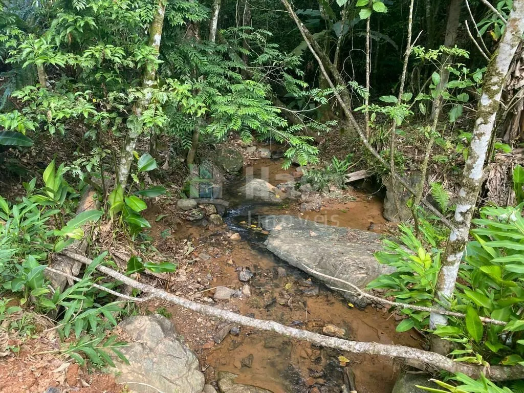 Terreno à venda de 3.800 m² em Canelinha, SC, Brasil