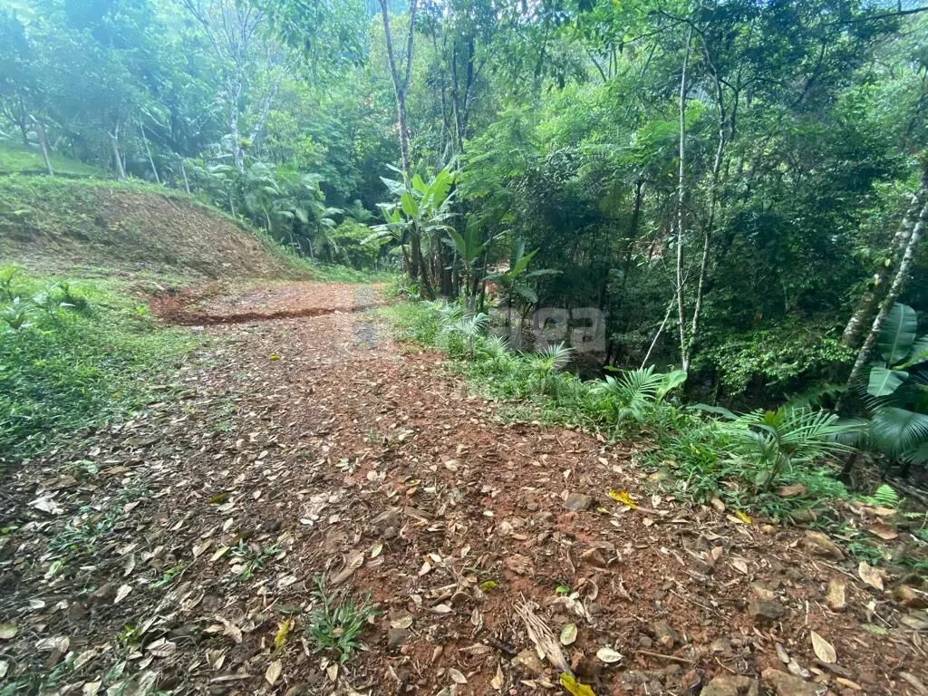 Terreno à venda de 3.800 m² em Canelinha, SC, Brasil