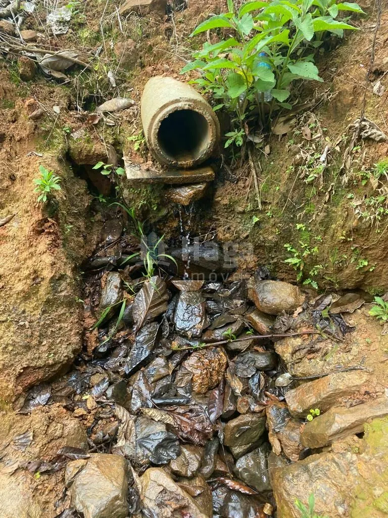 Terreno à venda de 3.800 m² em Canelinha, SC, Brasil