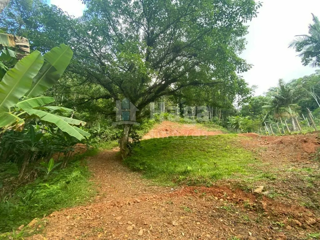 Terreno à venda de 3.800 m² em Canelinha, SC, Brasil