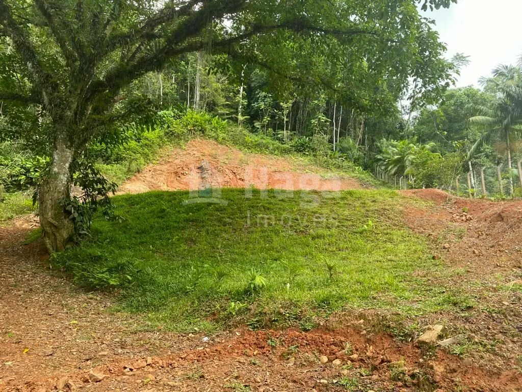 Terreno à venda de 3.800 m² em Canelinha, SC, Brasil
