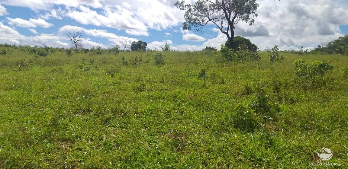 Fazenda à venda de 4.400 ha em Camapuã, MS, Brasil