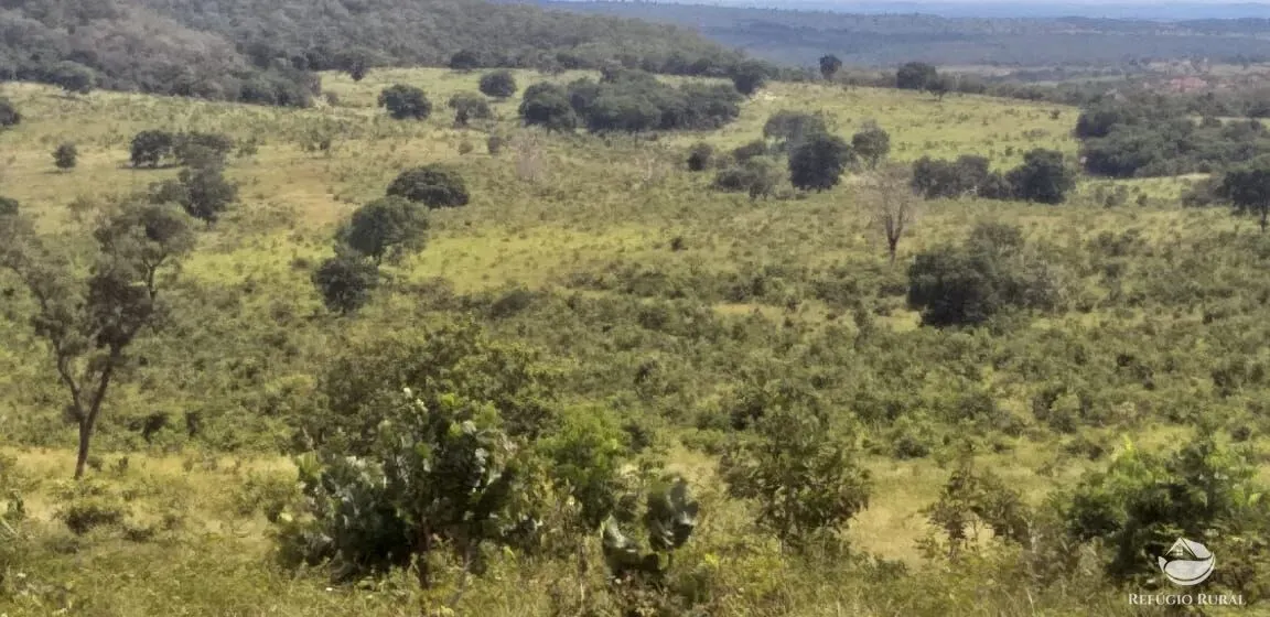 Fazenda à venda de 4.400 ha em Camapuã, MS, Brasil
