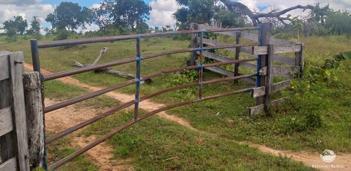 Fazenda à venda de 4.400 ha em Camapuã, MS, Brasil