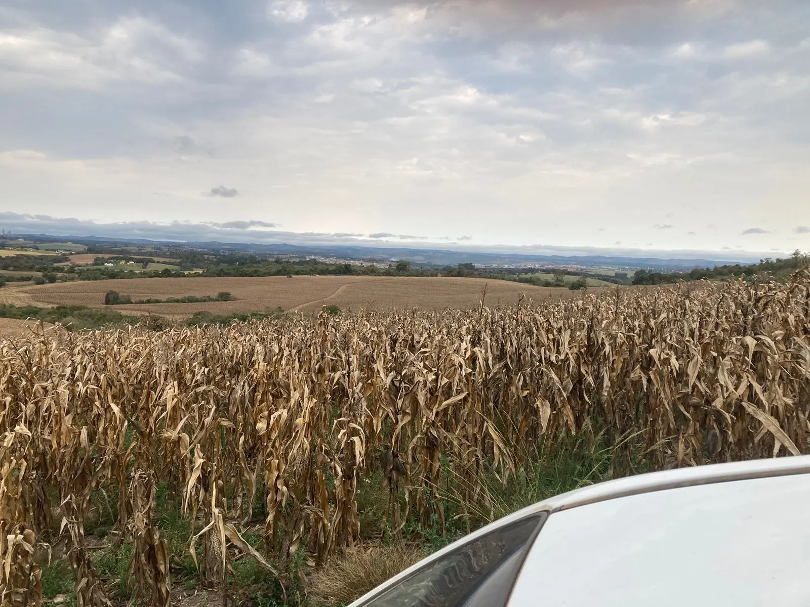 Fazenda à venda de 242 ha em Sorocaba, SP, Brasil