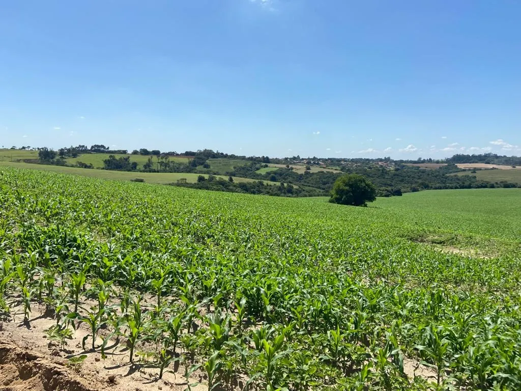 Fazenda à venda de 242 ha em Sorocaba, SP, Brasil