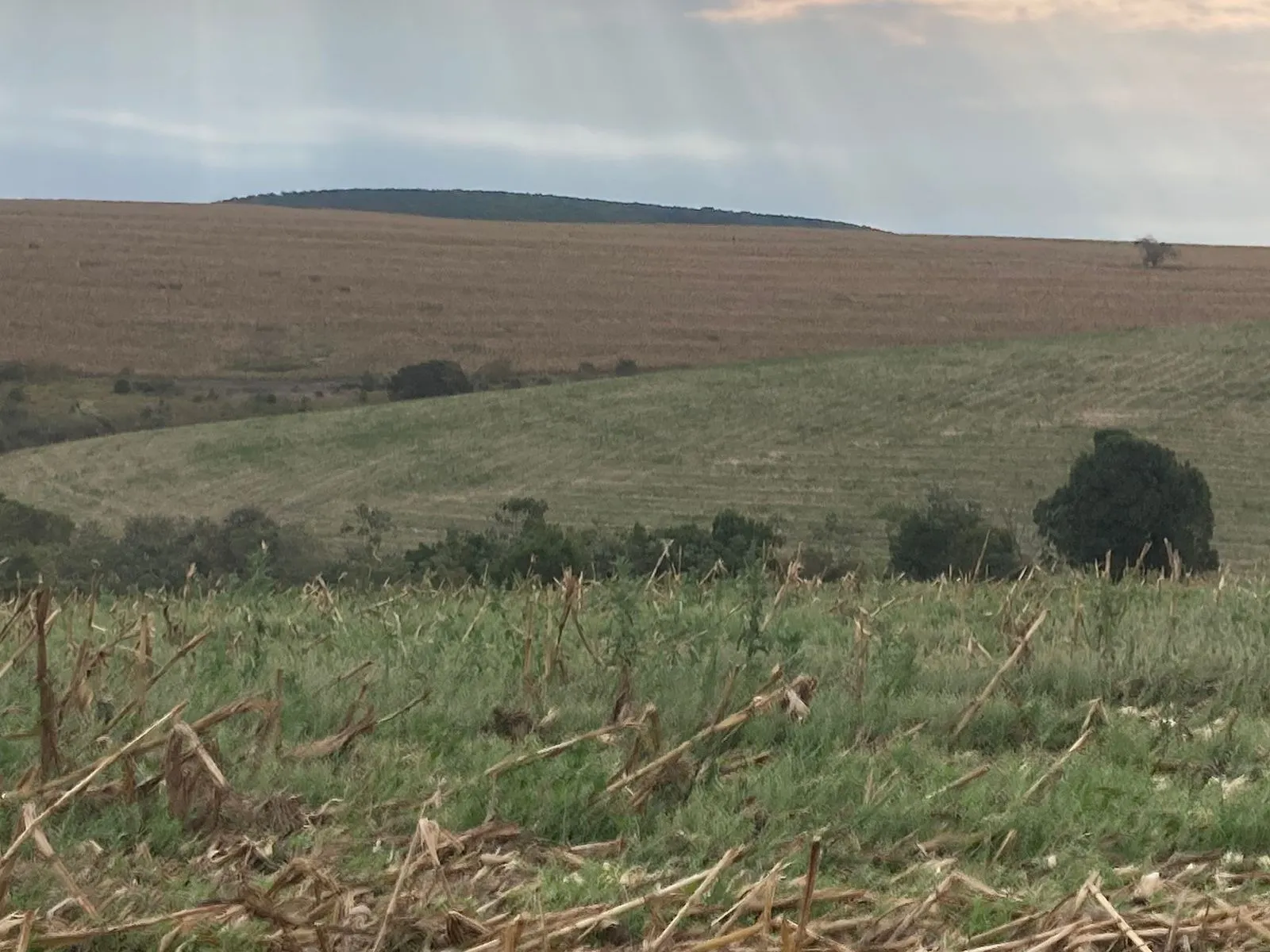 Fazenda à venda de 242 ha em Sorocaba, SP, Brasil