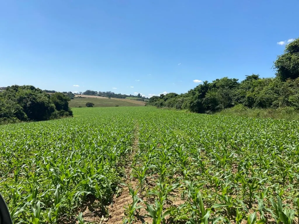 Fazenda à venda de 242 ha em Sorocaba, SP, Brasil