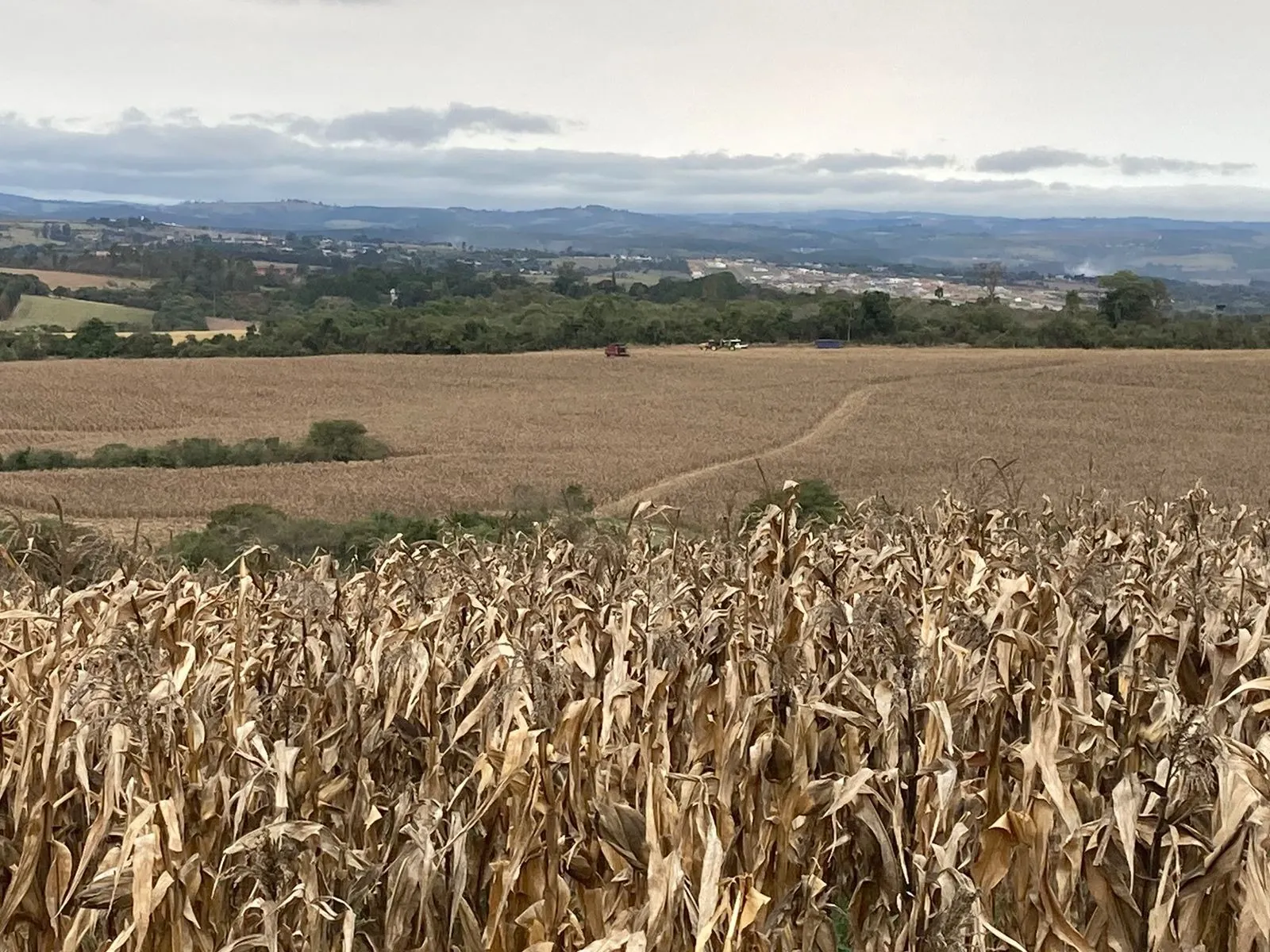 Fazenda à venda de 242 ha em Sorocaba, SP, Brasil