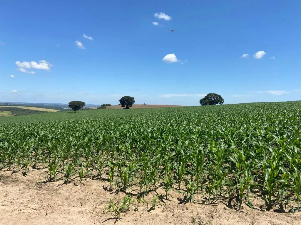Fazenda à venda de 242 ha em Sorocaba, SP, Brasil