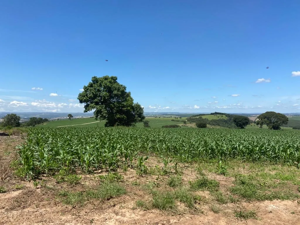 Fazenda à venda de 242 ha em Sorocaba, SP, Brasil