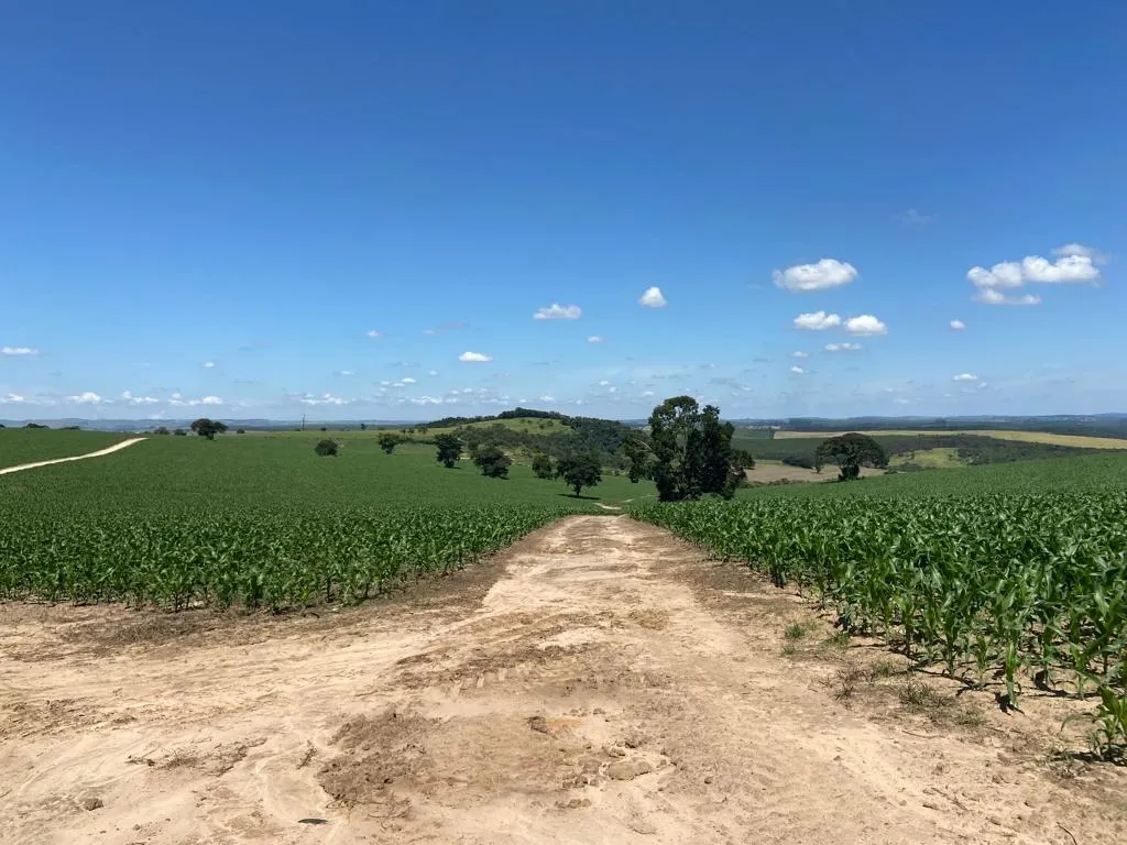 Fazenda à venda de 242 ha em Sorocaba, SP, Brasil