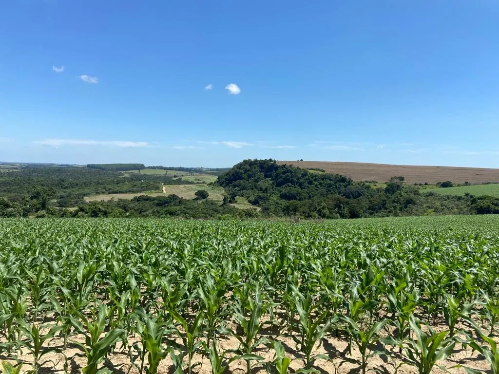 Fazenda à venda de 242 ha em Sorocaba, SP, Brasil