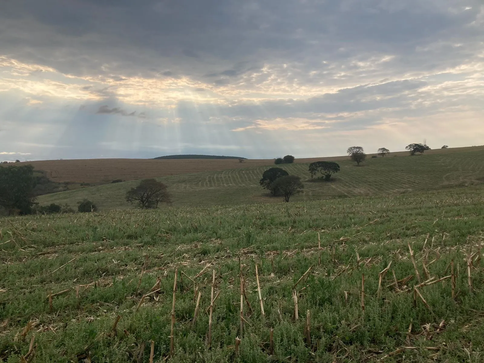 Fazenda à venda de 242 ha em Sorocaba, SP, Brasil