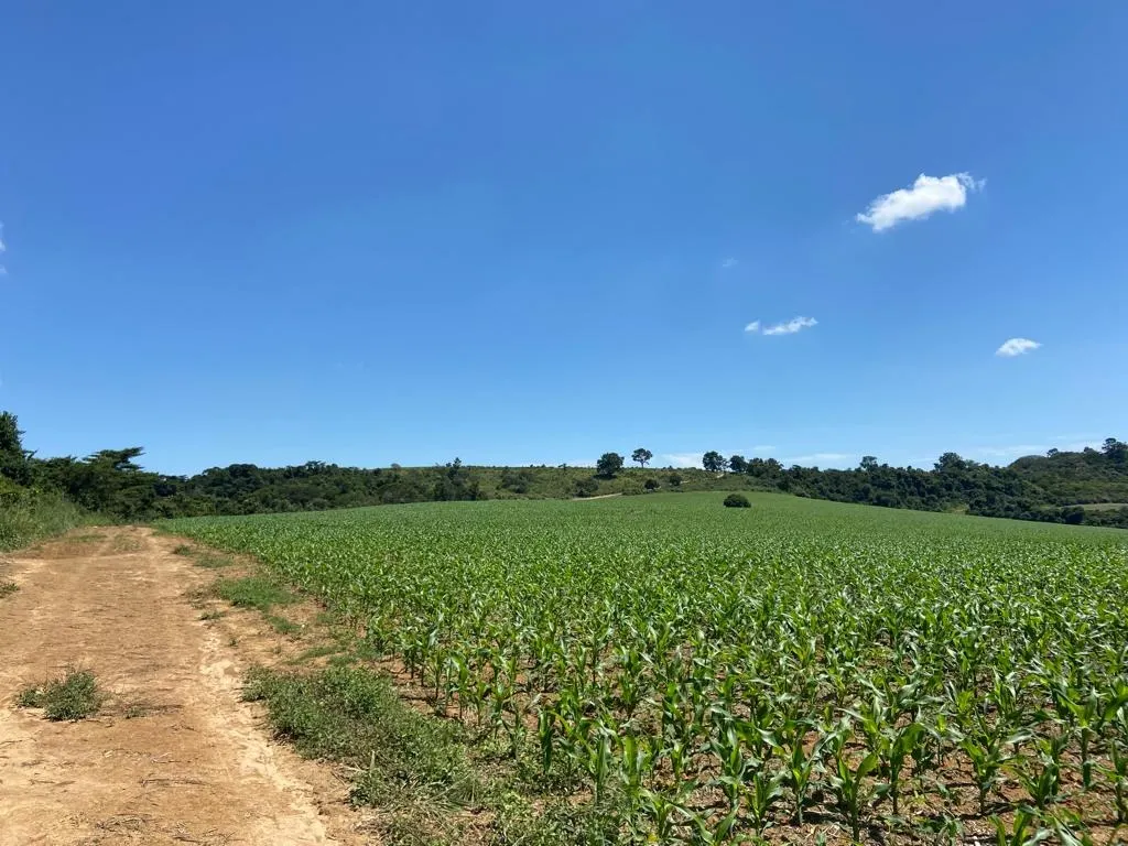 Fazenda à venda de 242 ha em Sorocaba, SP, Brasil