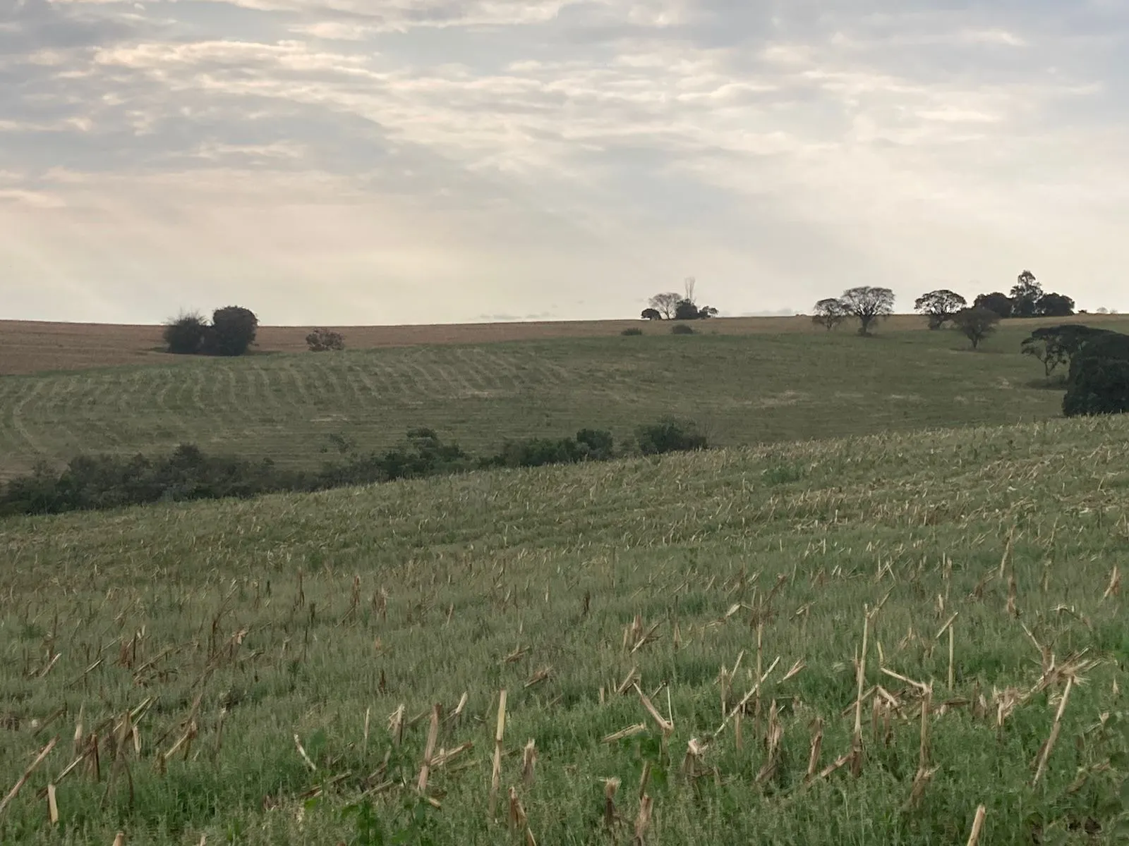 Fazenda à venda de 242 ha em Sorocaba, SP, Brasil