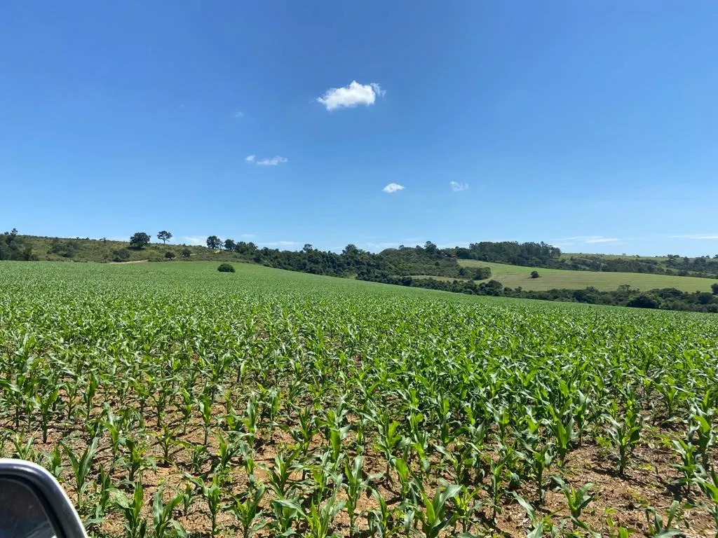 Fazenda à venda de 242 ha em Sorocaba, SP, Brasil