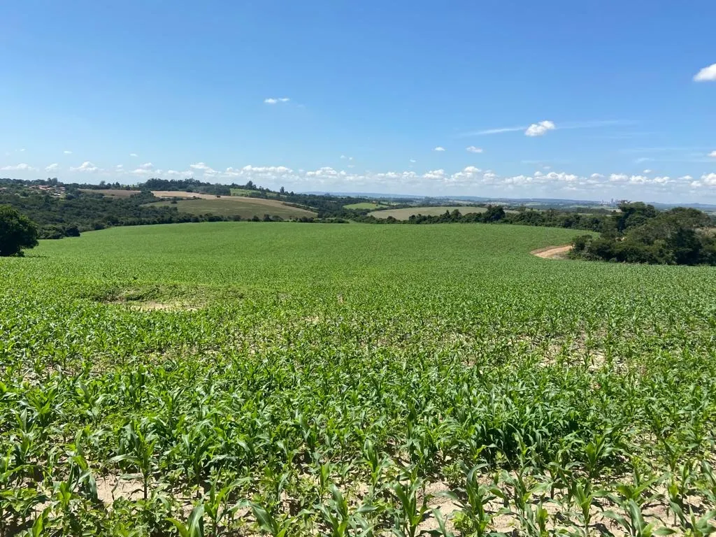 Fazenda à venda de 242 ha em Sorocaba, SP, Brasil