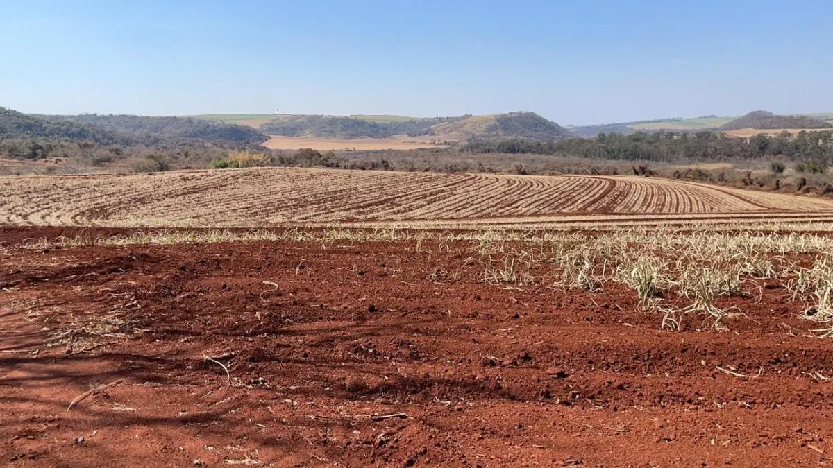 Fazenda à venda de 74 ha em São Carlos, SP, Brasil