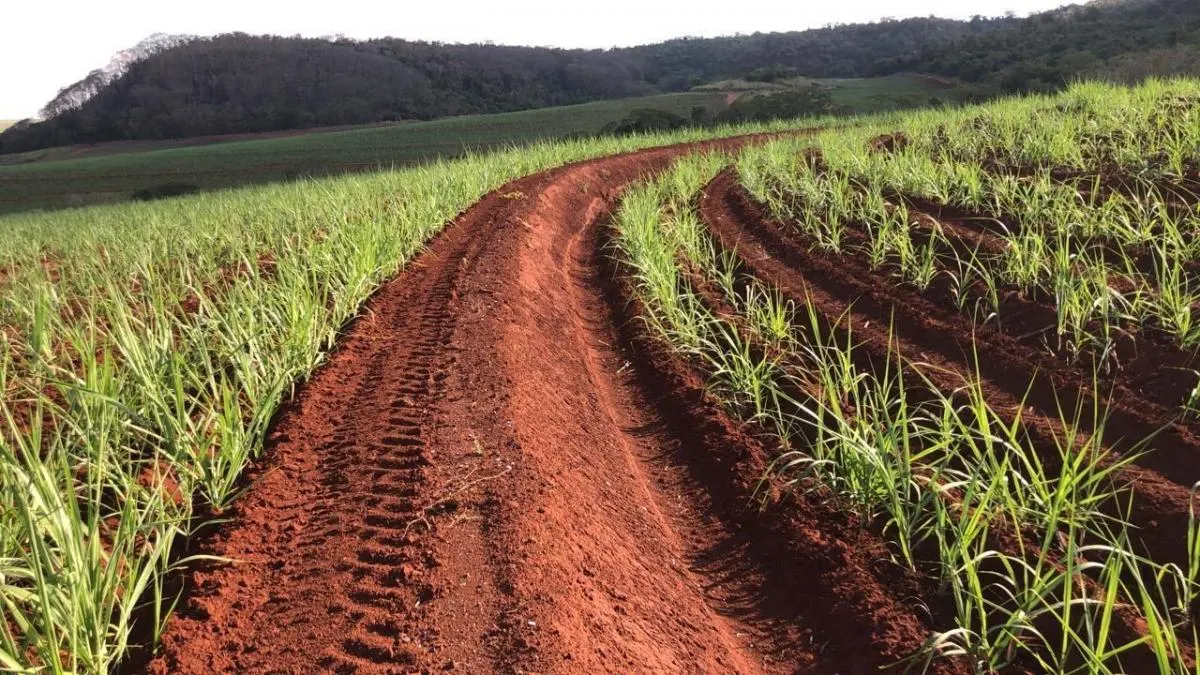 Fazenda à venda de 74 ha em São Carlos, SP, Brasil