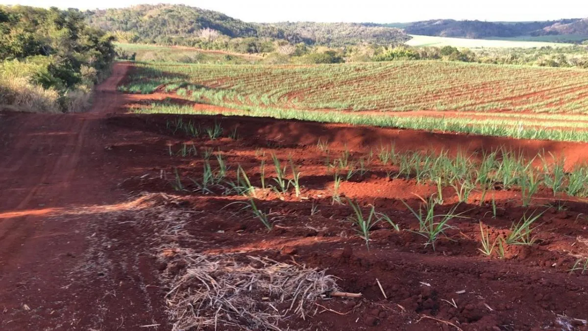 Fazenda à venda de 74 ha em São Carlos, SP, Brasil