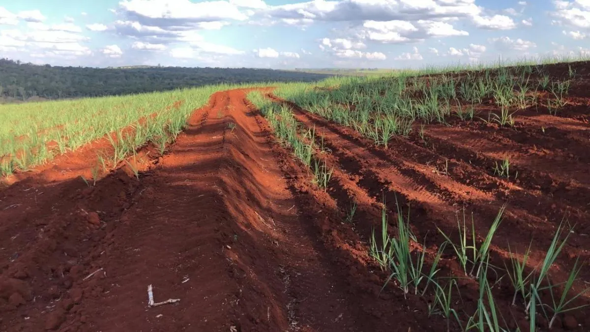 Fazenda à venda de 74 ha em São Carlos, SP, Brasil