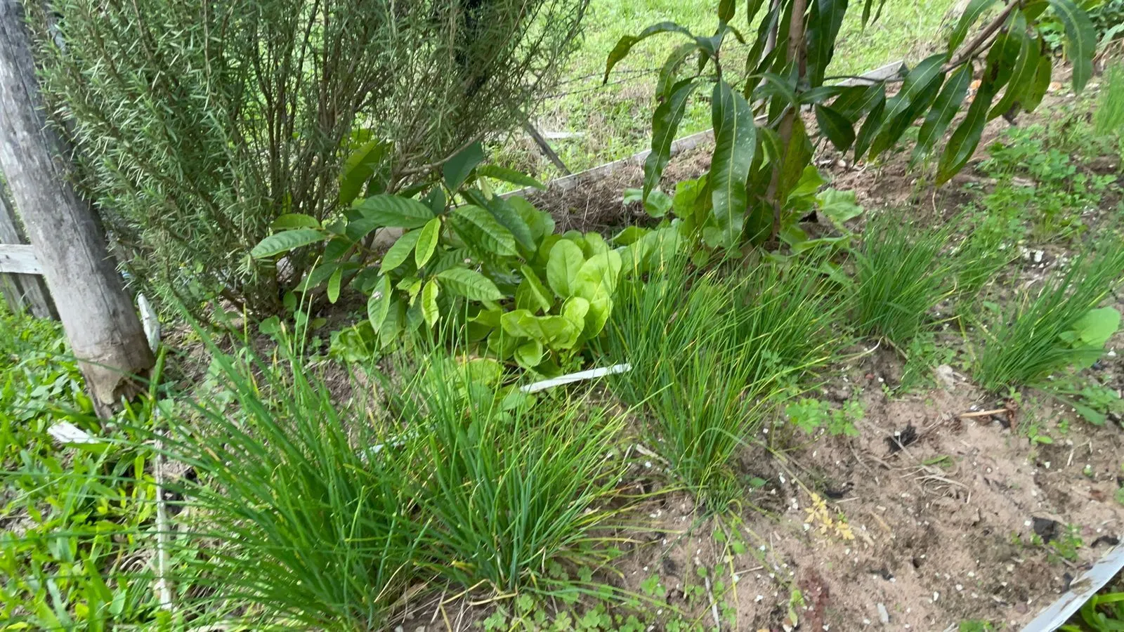 Plot for sale of 625 m² in Santo Antônio da Patrulha, RS, Brazil