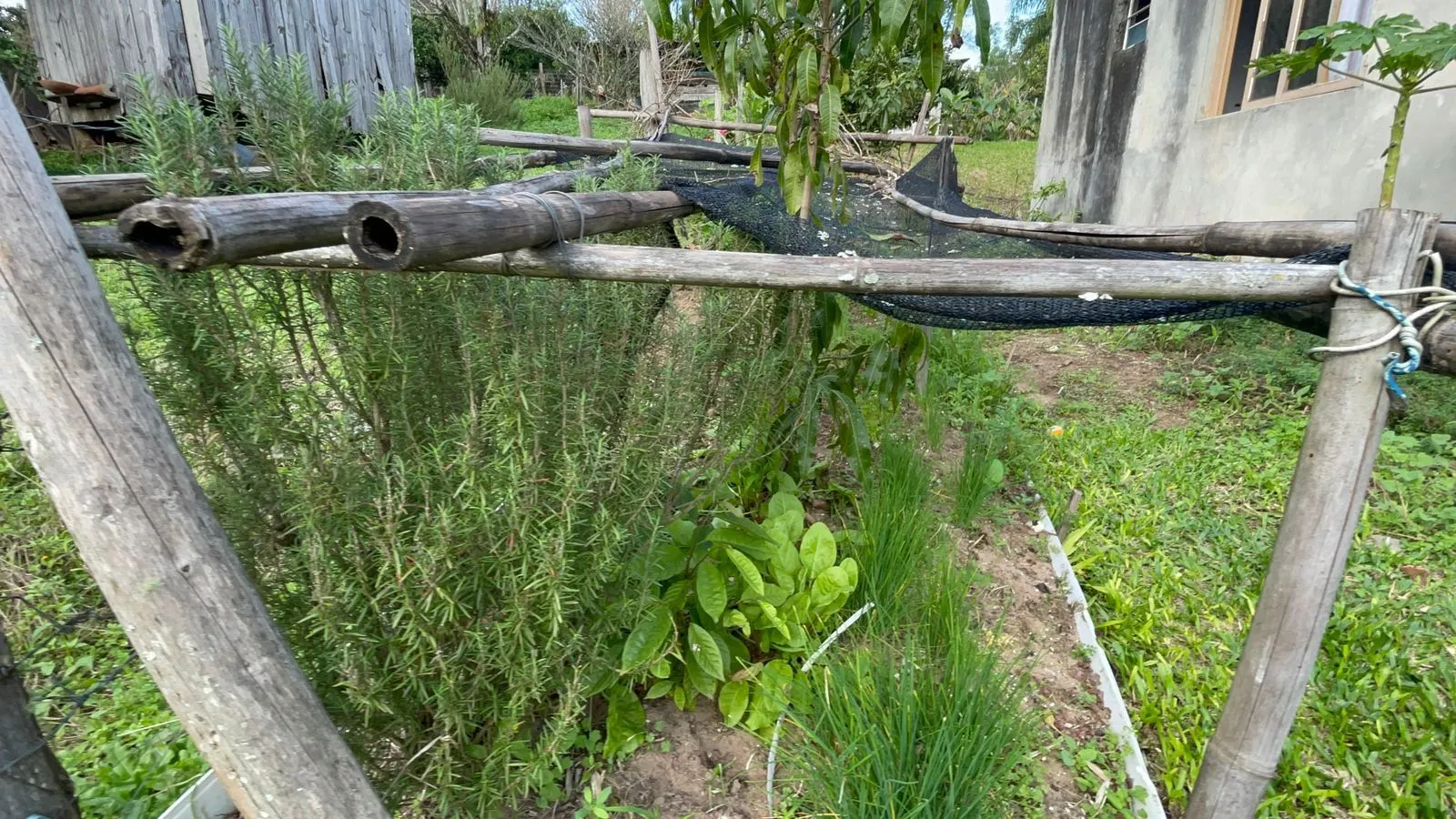 Plot for sale of 625 m² in Santo Antônio da Patrulha, RS, Brazil