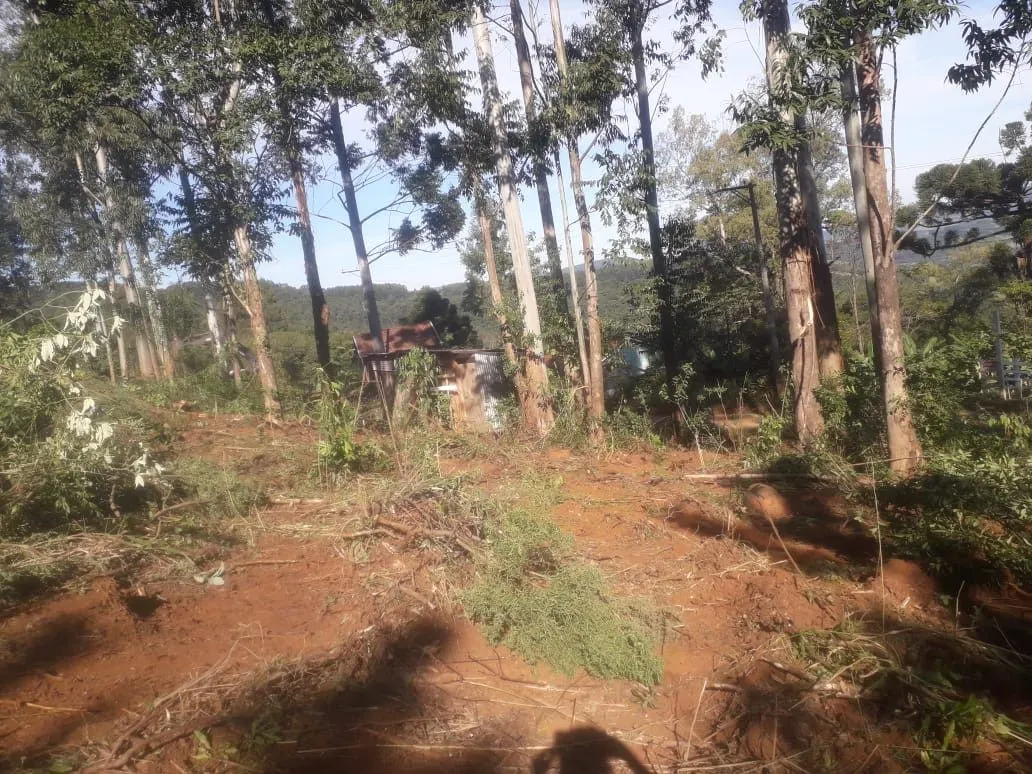 Chácara à venda de 5.300 m² em Rolante, RS, Brasil