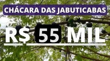 Chácara à venda de 5.300 m² em Rolante, RS, Brasil