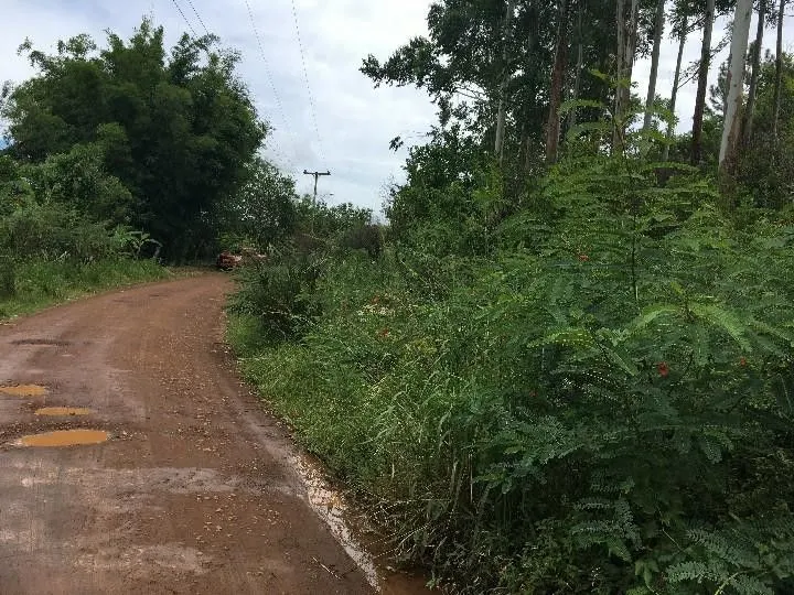 Chácara à venda de 5.300 m² em Rolante, RS, Brasil
